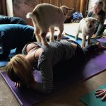 Gaot Yoga 2